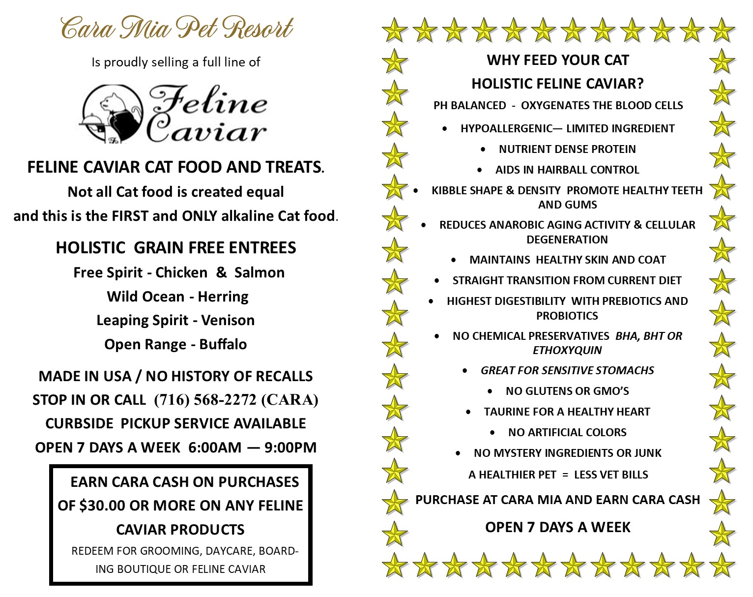 Designer Pet Boutique Cara Mia Pet Resort